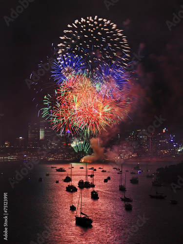 Canvas Print Sydney Firework Vertical Balls