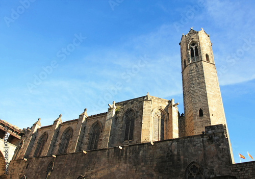 barcelona cathedral, spain photo