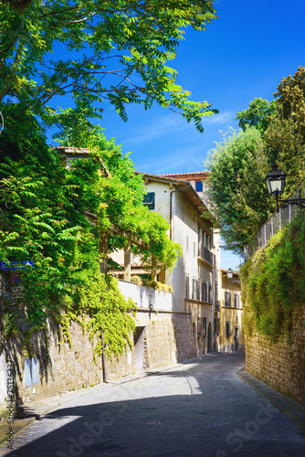 Old street in Boboli Gardens, Florence, Italy