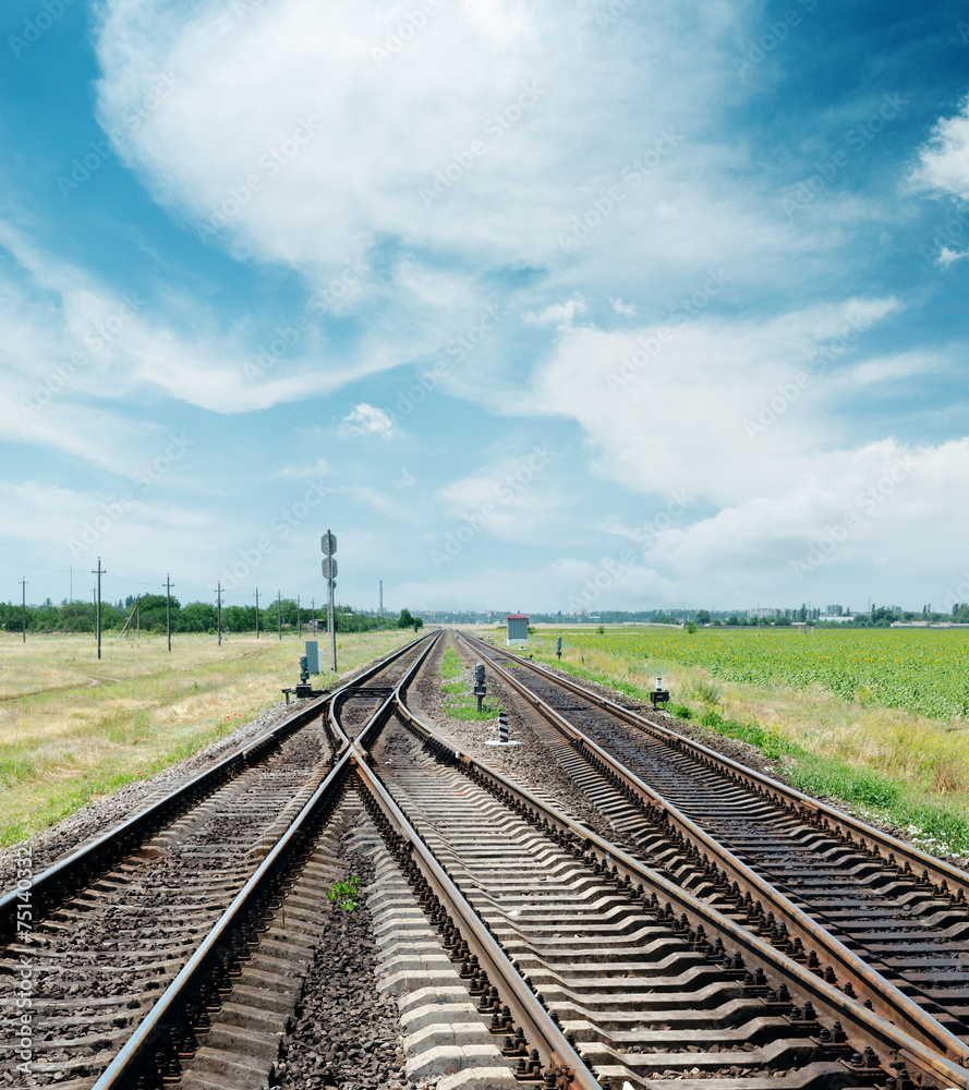 Fototapeta premium crossing of railroad to horizon under cloudy sky