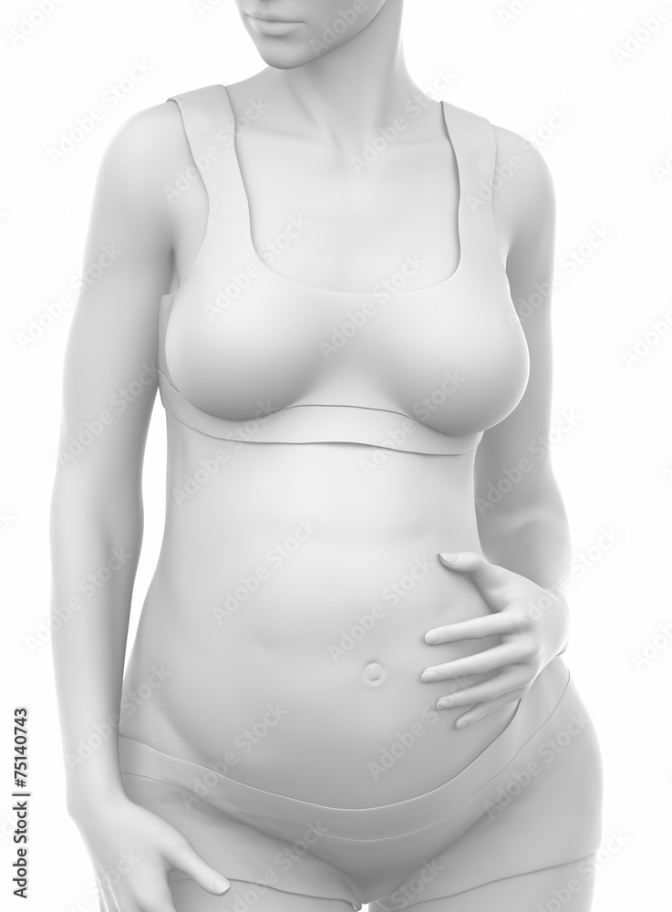 Pregnant woman isolated on white Pregnant woman isolated on white