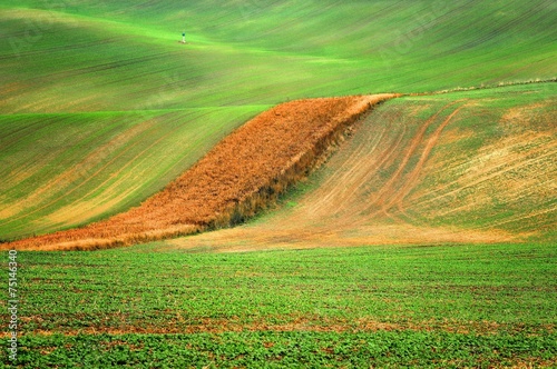 Morawy, krajobraz wiejski, uprawa pól