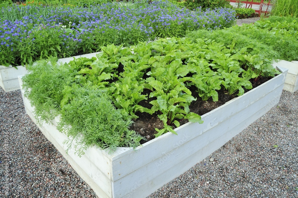 Foto Organic Gardening