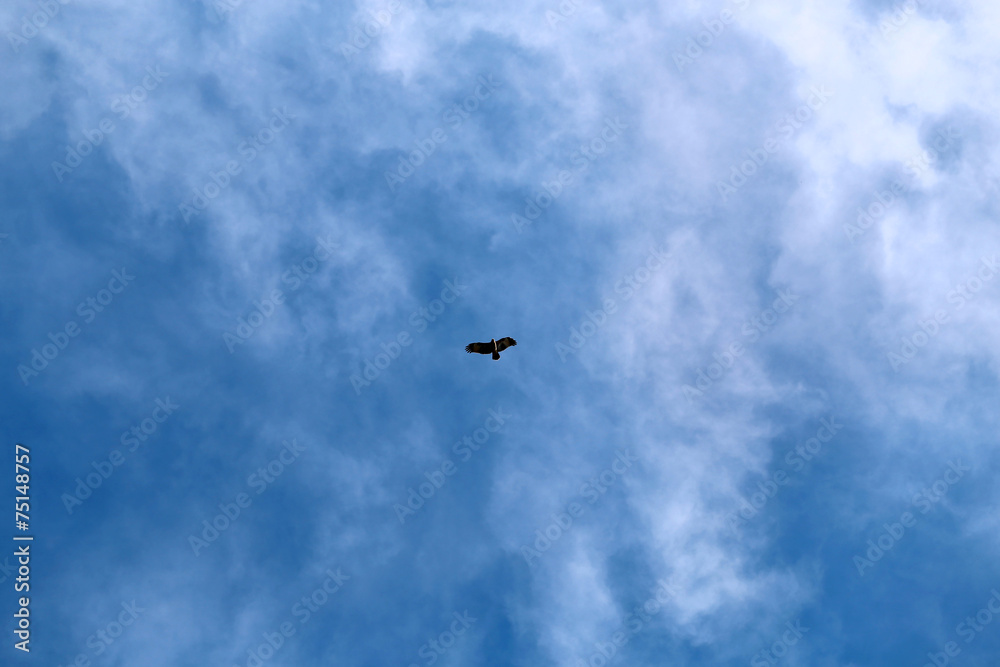 sky and clouds