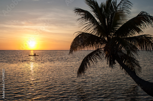 Kayaker at Sunrise and Palm Tree