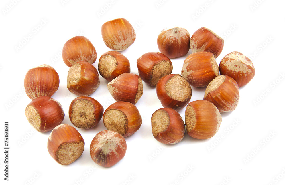 Handful of hazelnuts Handful of hazelnuts