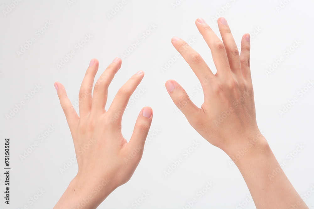 손 클로즈업 손 클로즈업