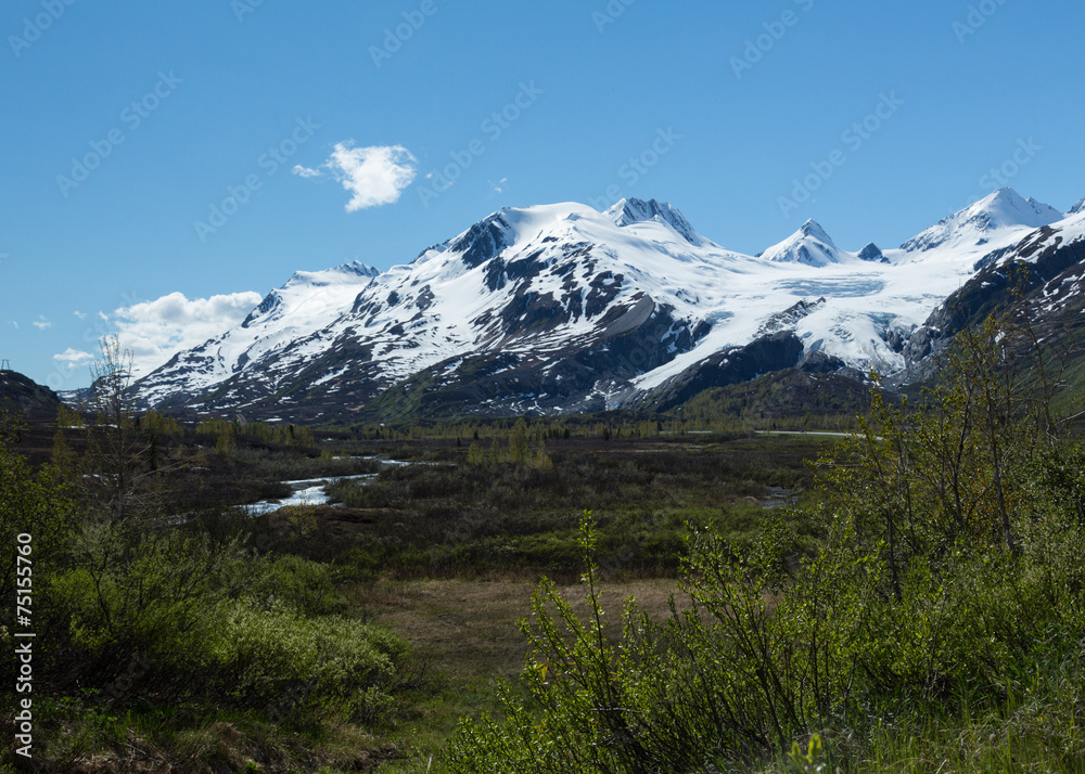 Alaska's Worthington Glacier