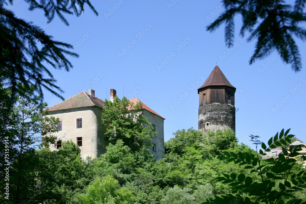 castle Pirkstejn, Rataje nad Sazavou, Czech republic.