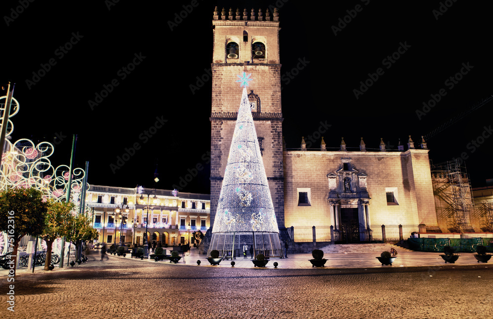 Cathedral square with christmas tree