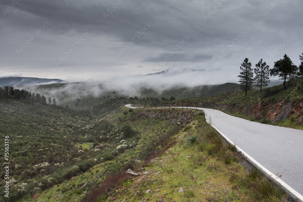 Carretera en invierno