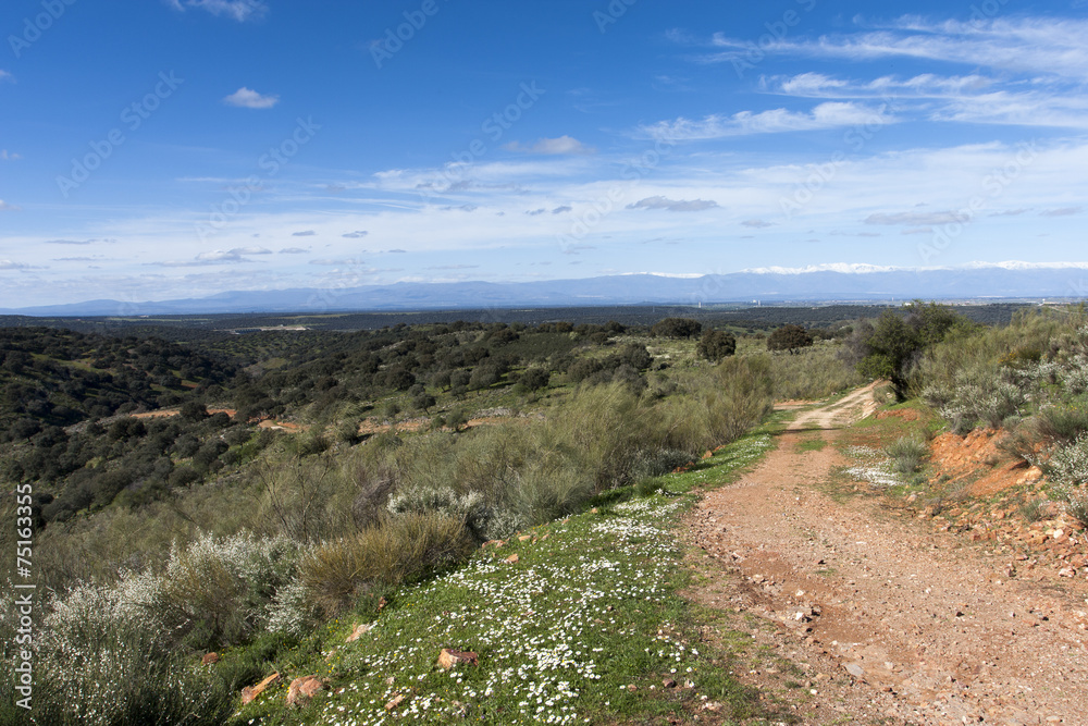 Dehesa extremeña