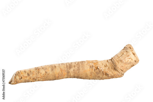 Meerrettich, Horseradish, Armoracia rusticana photo