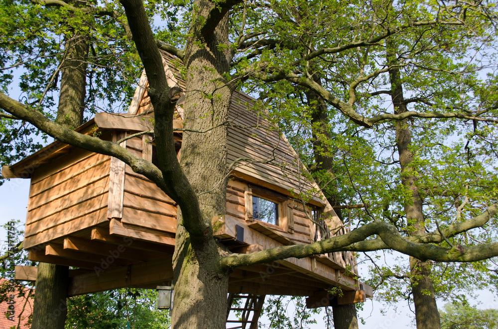 Εκτύπωση καμβά Tree house as a holiday home