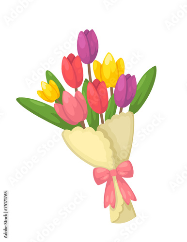 bouquet of tulips flowers