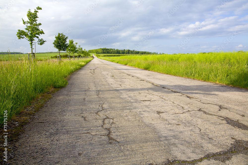 Field asphalt way