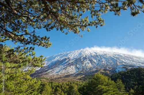 Etna Volcano Framed By Branches, Sicily
