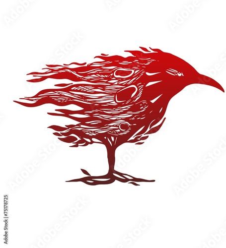 bird