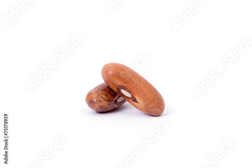 cranberry bean photo