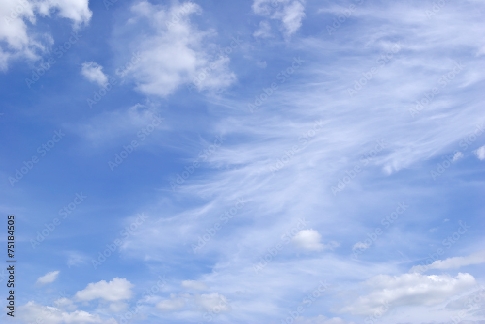 Fototapeta premium Light fluffy clouds against a clear blue sky