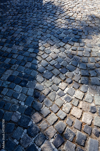 detail of cobblestone path