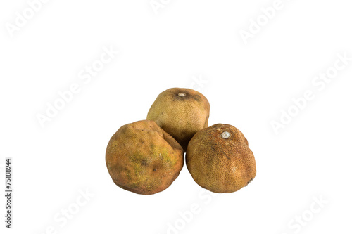 Fotografia withered lemon  on white background