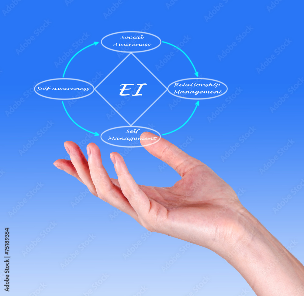 Diagram of emotional intelligence Diagram of emotional intelligence