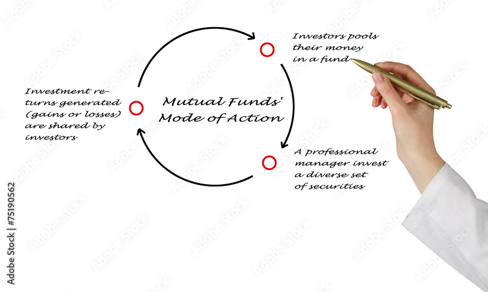 Obraz premium How Do Mutual Funds Work?