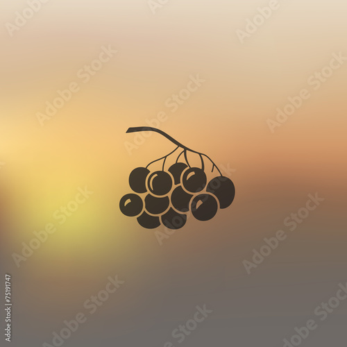 berries icon on blurred background