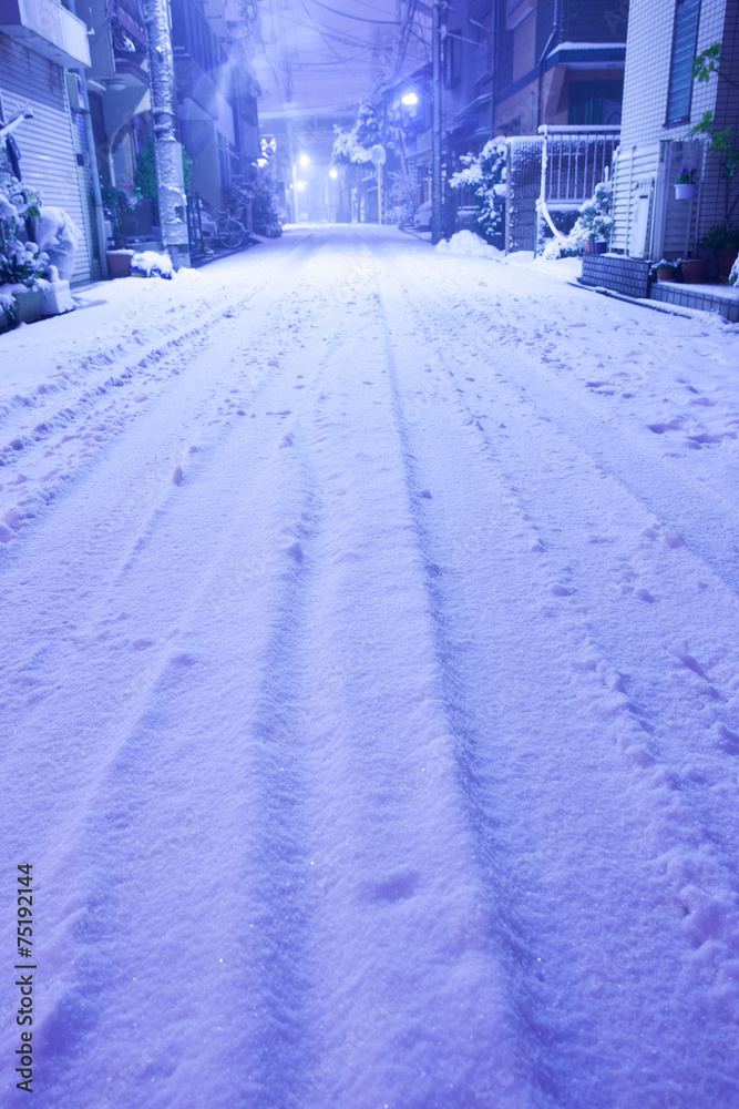 東京の大雪の夜 東京の大雪の夜