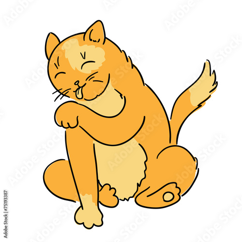 The cat licks a paw (Vector)