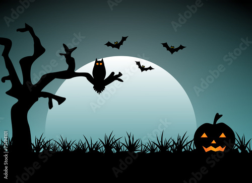 Halloween night