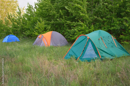 Camping tent in the forest