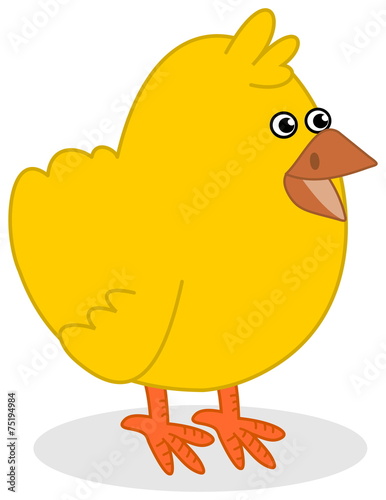 chick profile