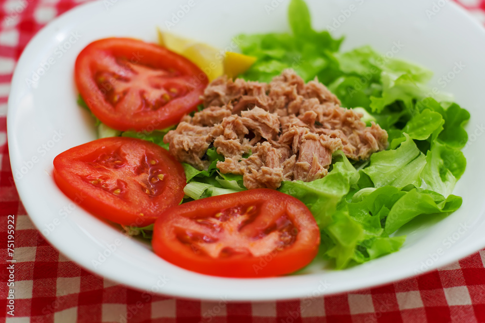 Tuna Fish Meat Over Green Salad Tuna Fish Meat Over Green Salad