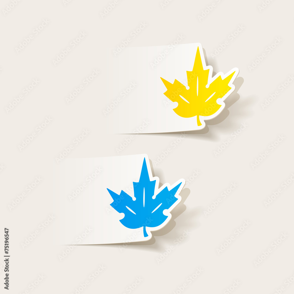 realistic design element: leaf realistic design element: leaf