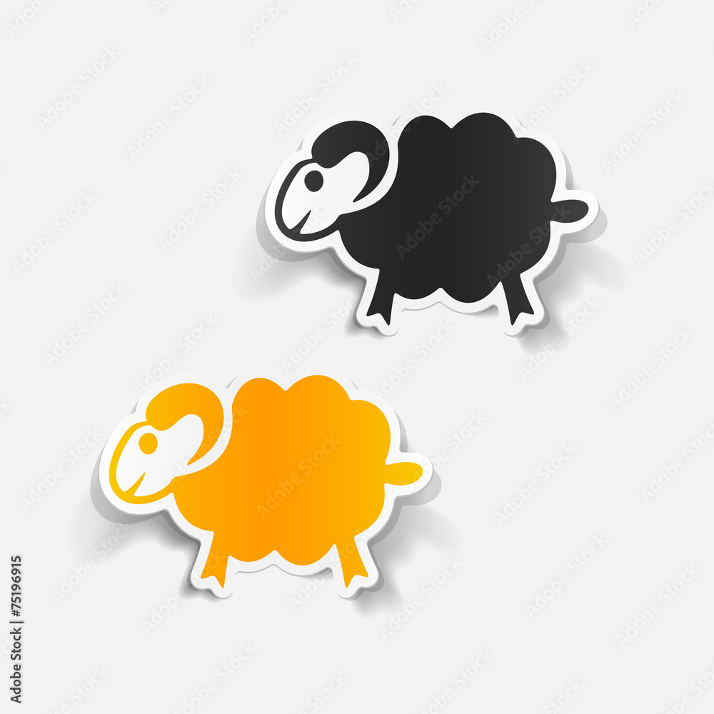 Obraz premium realistic design element: sheep
