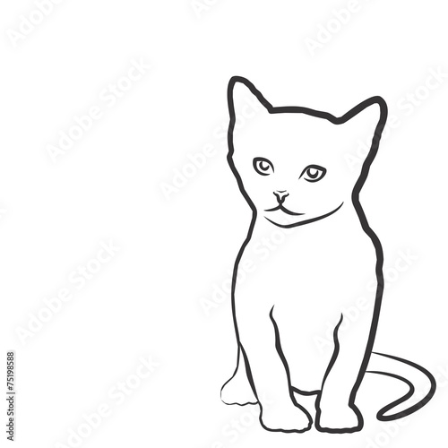 Котенок