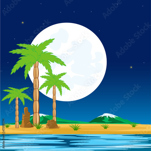 Night in tropic