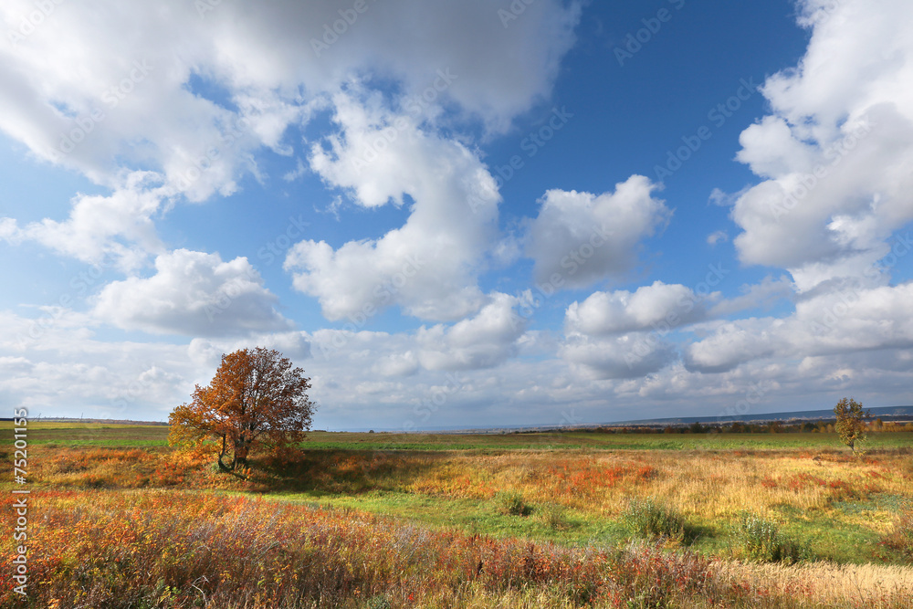 Obraz premium autumn landscape