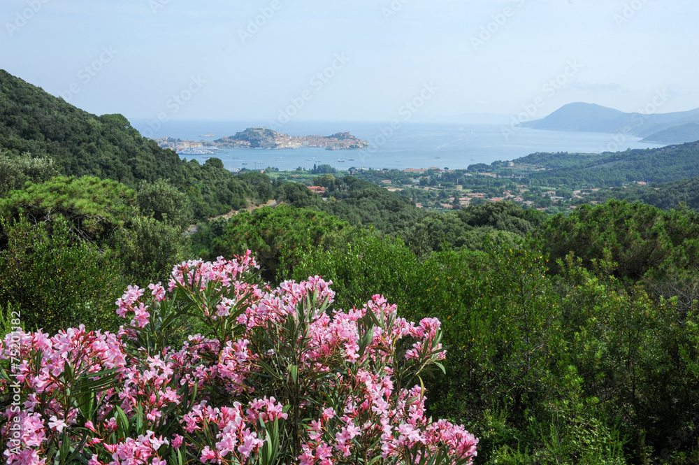The coast of Portoferraio on Elba isalnd