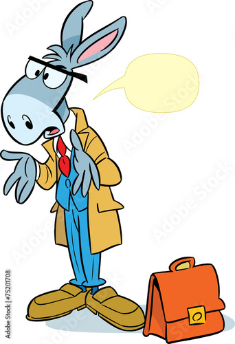 funny donkey