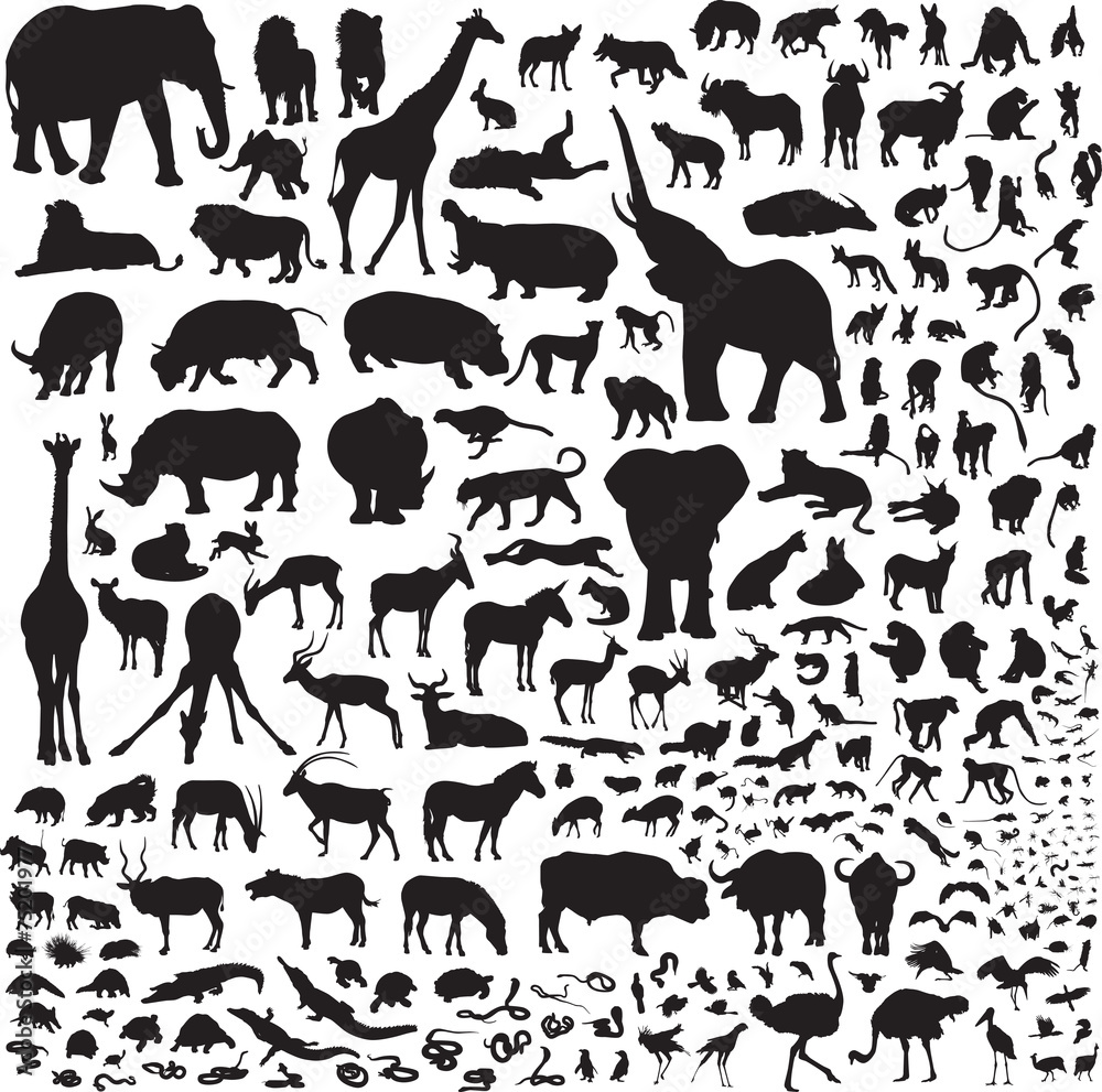 Obraz premium Over 200 silhouettes fauna of Africa