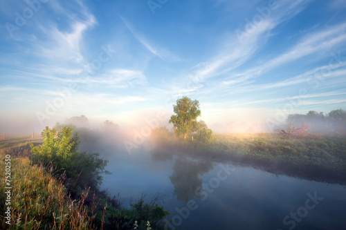 fog on the river