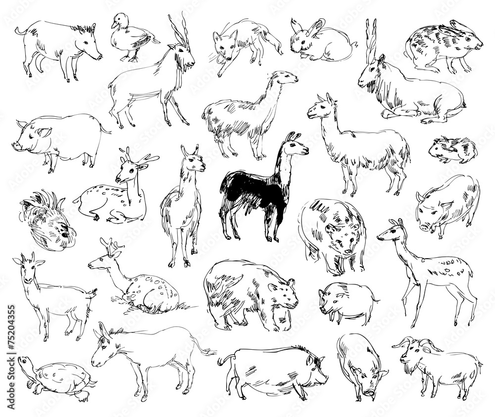 Wild Animals. Zoo. Set. Hand-drawn