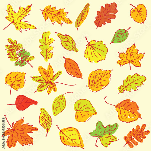 Freehand drawing autumn leaves items on a sheet of exercise book