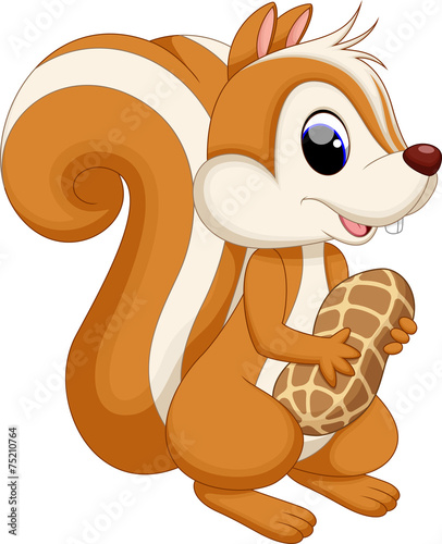 Cute squirrel cartoon