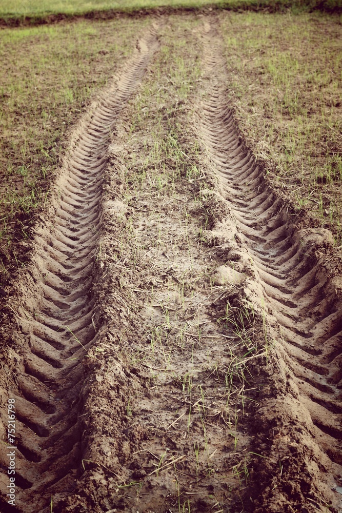 trace of tyre in the sand