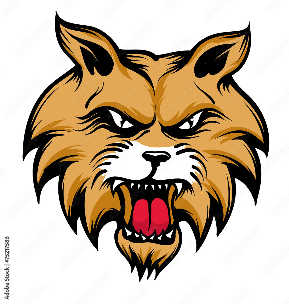 Wildcat Wildcat