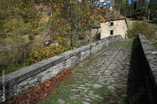 ridracoli parco nazionale del casentino appennino tosco emiliano photo